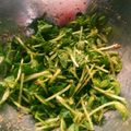 kazyue's cooksnap of when they made 豆苗ナムル.