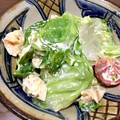 いちごちぉこ's cooksnap of when they made ロメインレタスと鶏ささみのマヨネーズ炒め.