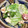いちごちぉこ's cooksnap of when they made ロメインレタスと鶏ささみのマヨネーズ炒め.
