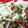 キャラメグ♪'s cooksnap of when they made 簡単副菜「キャベツとオクラの梅和え」.