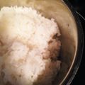 konochin's cooksnap of when they made 一人暮らしを始めた君に お鍋で簡単ごはん.