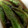 クックBH5M9F☆'s cooksnap of when they made 【茄子】なすの焼きびたし【簡単】.