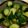 にこにことうま's cooksnap of when they made きゅうりの中華浅漬け.