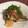 美味しいずき's cooksnap of when they made ⁂さんまみぞれ煮.