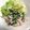 Marmo's cooksnap of when they made ゴーヤ(ニガウリ)サラダ.