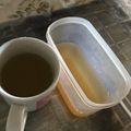 Yokchina's cooksnap of when they made 完熟になりかけの梅で梅ジュース（≧∇≦）.