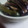 かりあん's cooksnap of when they made レンジだけ☆茄子とししとうの煮びたし.