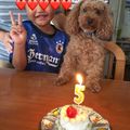 ラムちゃんズ❤️'s cooksnap of when they made 超簡単☆犬用ケーキ☆.