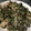 souくんママ's cooksnap of when they made 茄子とピーマンの味噌炒め.
