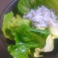 Sac’HiNa's cooksnap of when they made みょうがとしらすのグリーンサラダ.