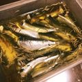 み・ω・わ's cooksnap of when they made 自家製オイルサーディン・いわしのオイル煮.