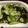 クックZ69KDS☆'s cooksnap of when they made ぷちぷちチアシード入り酢の物。.