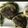 クックBGSX9R☆'s cooksnap of when they made 白ご飯に、おにぎりに！超簡単☆大葉味噌.