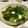 クックQFMDNO☆'s cooksnap of when they made 香味野菜とタコの香り高き熱々のごま油がけ.