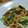 チョビ～☆'s cooksnap of when they made お酒にも合う梅とオイスターソース焼うどん.
