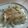 きらり流れ星's cooksnap of when they made 焼くだけ！ツナたまねぎ.