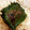 isamu1364's cooksnap of when they made 大葉（しそ）orエゴマの葉のやみつき漬け.
