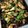 ともかずみみ's cooksnap of when they made なすとピーマンの味噌炒め.