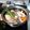 かす”お's cooksnap of when they made 柚子香るたっぷりきのこ汁鍋.