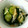 はらぺことりっぷ's cooksnap of when they made 糸寒天ときゅうりの酢の物.