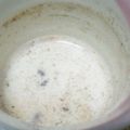 ぷーちゃん1103's cooksnap of when they made ♥＊シナモンのホットミルク♫＊♥.