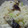 フンクエ's cooksnap of when they made さんまみりん干しの炊き込みご飯.