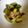 クックUQ8MK8☆'s cooksnap of when they made 豚肉ときゅうりのポン酢炒め.