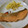 rieglay's cooksnap of when they made 10分おかず 簡単鮭ののムニエル.