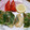 クックxz's cooksnap of when they made 切れ端の白身魚で梅シソ包揚げ.