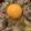 クック08C8IL☆'s cooksnap of when they made 簡単☆一人暮らし女子の牛丼.