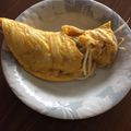 yukong100's cooksnap of when they made 豚モヤシ　とんぺい焼き.