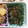 希らぶちゃん's cooksnap of when they made いんげんの胡麻和え.