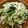 クックVOY1Q3☆'s cooksnap of when they made 小松菜ともやしのナムル.