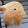 ＊chi〜ko＊'s cooksnap of when they made ハロウィン♫お化けのバニラミルクぱん☆.