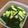 クック6F5381☆'s cooksnap of when they made きゅうりのピクルス.