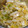ナーちゃん's cooksnap of when they made 白菜のおろし和え.