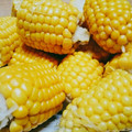 myunyari's cooksnap of when they made トウモロコシの茹で方と保存法.