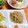Susie845's cooksnap of when they made エノキと糸蒟蒻のヘルシー炒め:-).