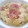 little☆s's cooksnap of when they made ベーコンと豆腐のニンニク胡椒炒め.