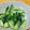 ちーまぐ's cooksnap of when they made １分でできる、超簡単！きゅうりの味噌和え.