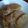 笑顔のまんま's cooksnap of when they made 長芋の照り焼き.