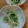 のらぽちママ's cooksnap of when they made 節約★豆苗★もやし★簡単ナムル.
