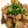 yellowow's cooksnap of when they made くたくた茄子と豚こまのとろみ生姜焼き.