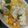 スカーレットの末裔's cooksnap of when they made 低糖質ダイエット！米じゃない！超しらす丼.