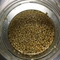 ルルちゃんmam's cooksnap of when they made 手作りゆず胡椒ドレッシング♪.