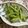 ☆Rokko☆'s cooksnap of when they made いんげんのゴマ和え.