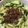 クックLYYTIX☆'s cooksnap of when they made おうちにあるもので☆汁なし担々麺.