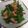 Hiromintoo's cooksnap of when they made ピーマンとウィンナーのしょうゆ炒め.