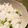 yuyayazu's cooksnap of when they made 材料は枝豆と白米だけ♪シンプル枝豆ご飯。.