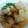 ズボラ･ジスイスキー's cooksnap of when they made 大根とカジキのあら煮.